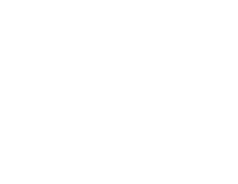 SAO LUIS DO QUITUNDE LOGOTIPO